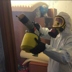 Уничтожение клопов в квартире. Отрадный